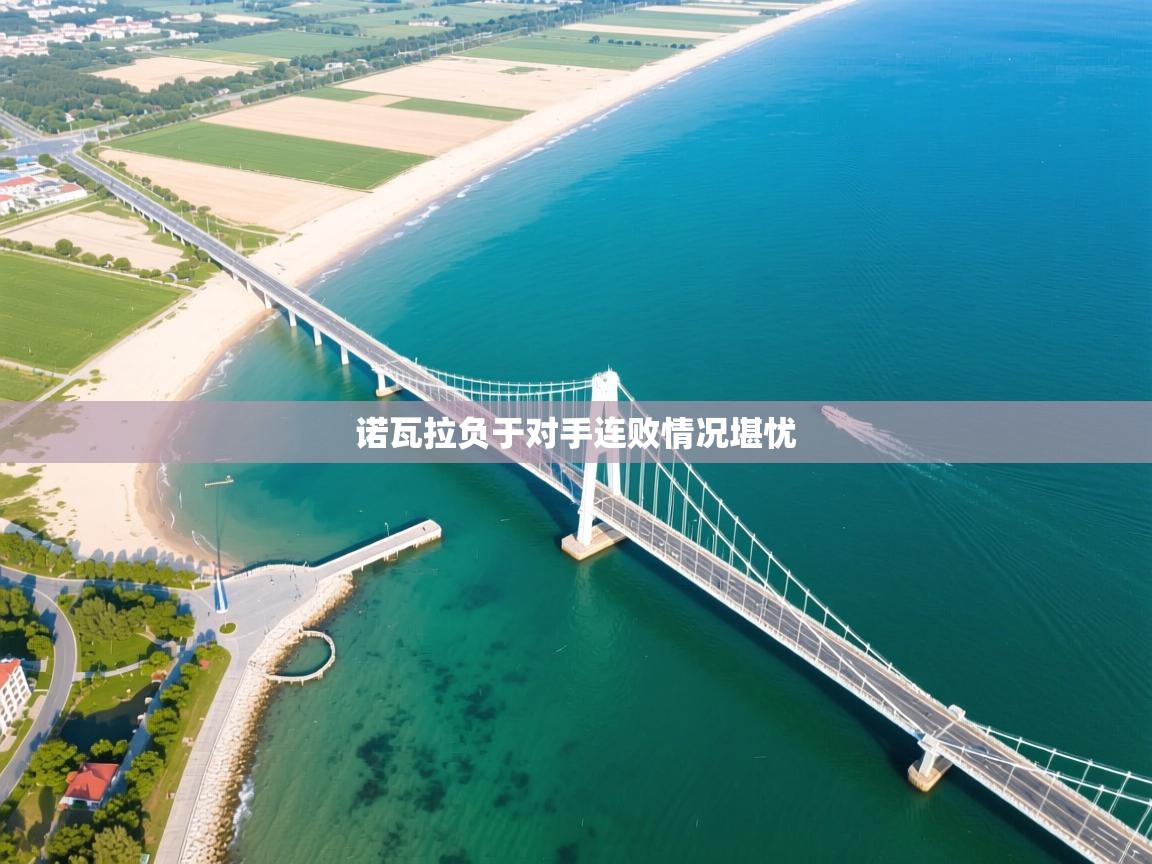 诺瓦拉负于对手连败情况堪忧