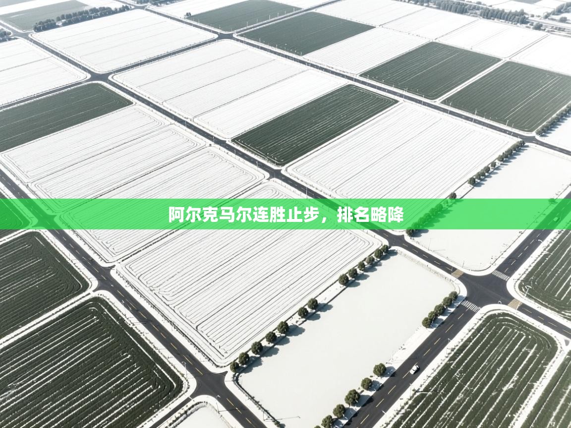 阿尔克马尔连胜止步，排名略降  第2张